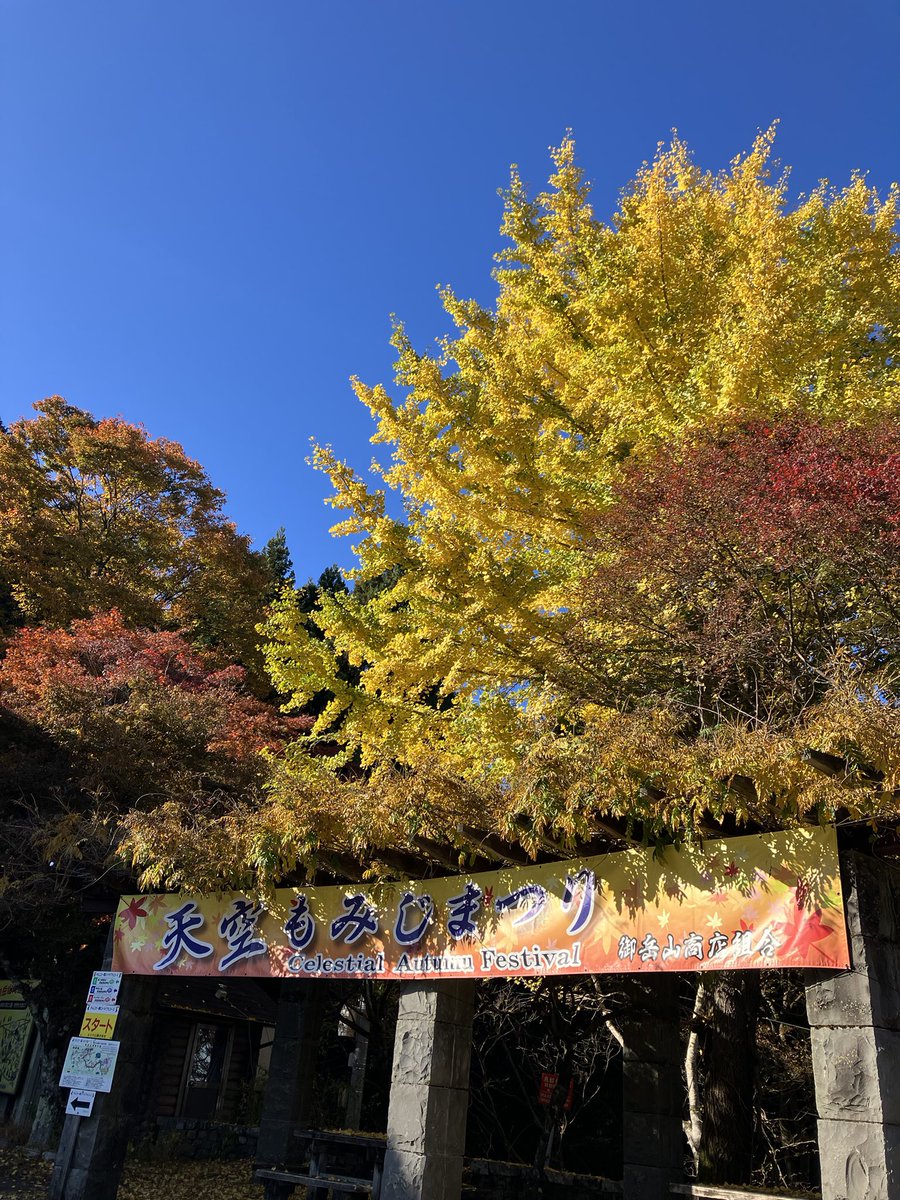 mitakevc's tweet photo. 天空もみじ祭り🍁✨
盛り上がってまいりました🤗
御岳ケーブルカーを降りてすぐのイチョウはちょうど見頃🎶
山内のいたるところのモミジたちも染まっている木が多いです🍁
今週あたりが1番の紅葉の見頃になりそうです🍁
御岳山で紅葉狩りしませんか?お待ちしております♪
#御岳山
#mtmitake
#紅葉 https://t.co/7VBE6MFImZ