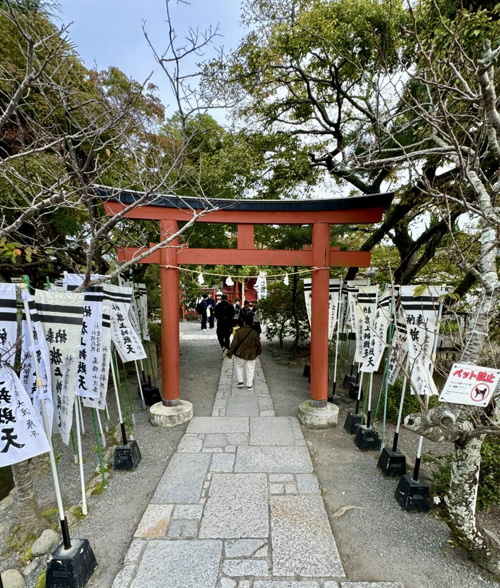 Sherezade tweet media