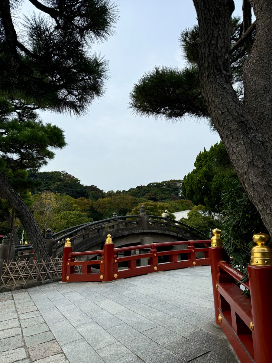 Sherezade tweet media