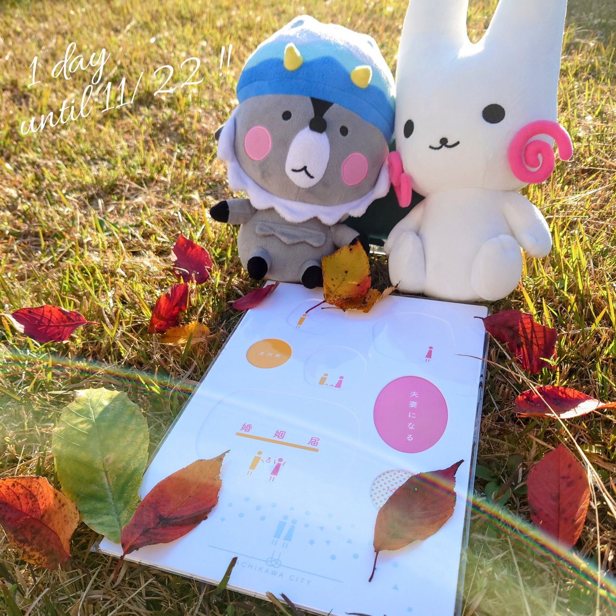 いい夫婦の日まであと1日‼️💐

いい夫婦の日特別記念撮影会では、同時開催の花果野マルシェからお借りしているベジブーケやリースなどを使って記念撮影も可能です📸✨

詳しくはこちら🔻
city.tachikawa.lg.jp/kurashi/koseki…

#立川市 #立川市プレミアム婚姻届 #婚姻届 #オリジナル婚姻届 #カウントダウン