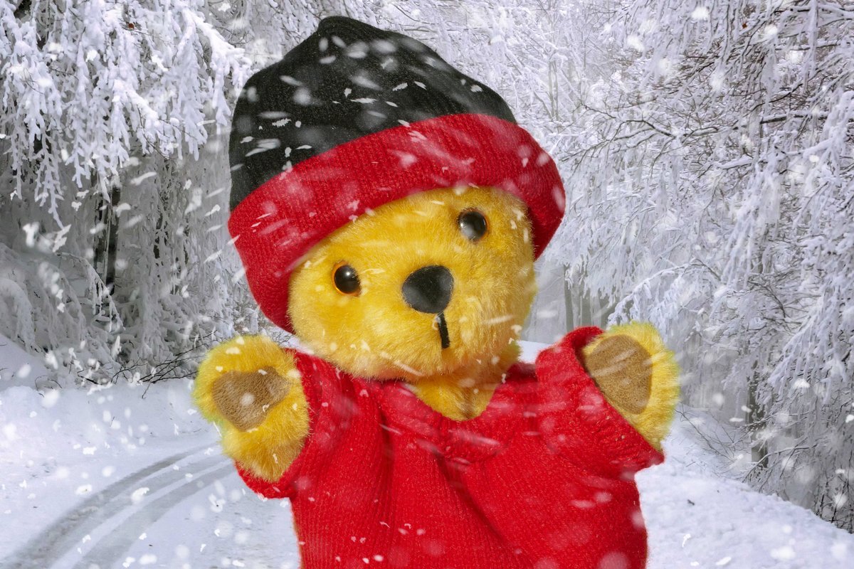 Another Yorkshire heatwave 😎