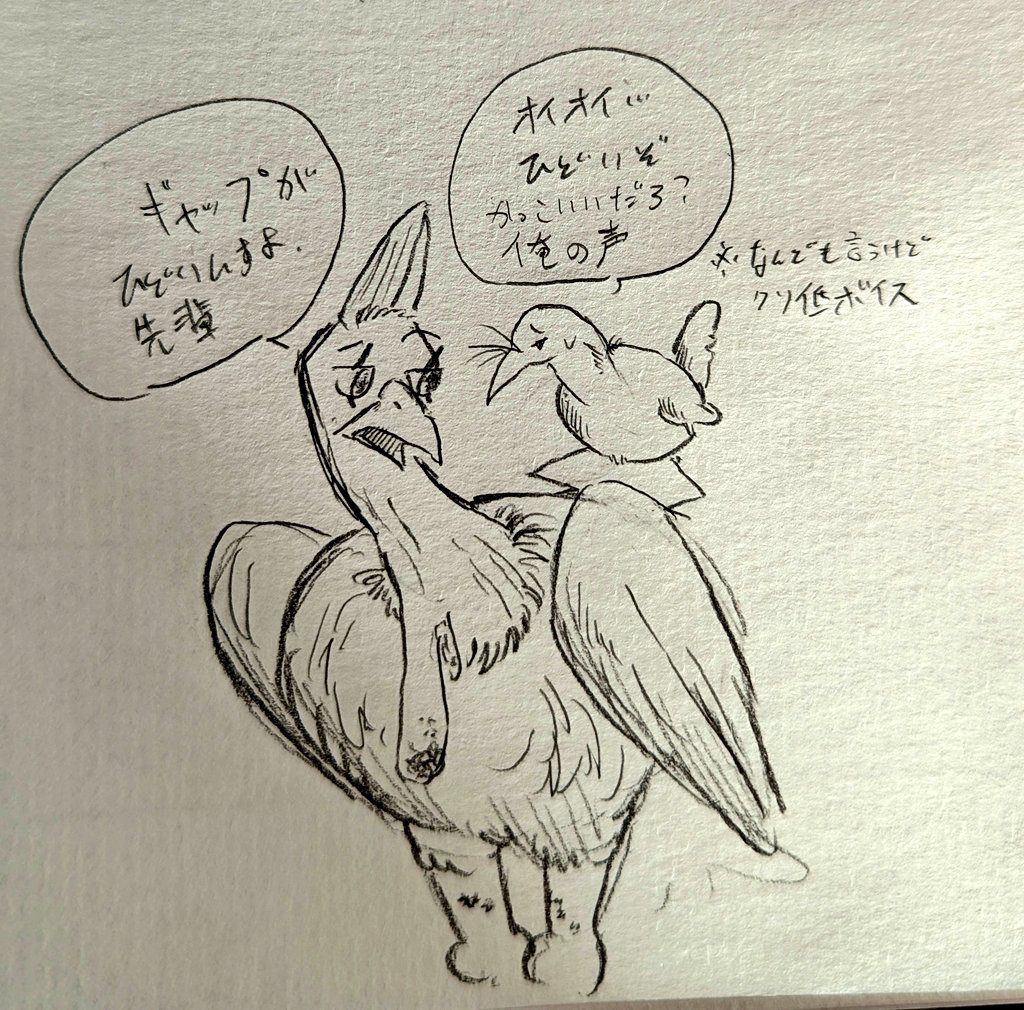 アンブリゴナイト🐐 tweet media