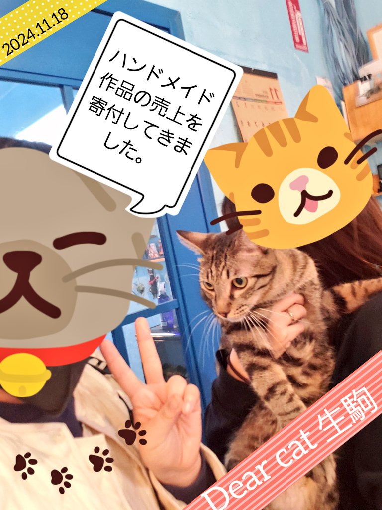 muuart_0625's tweet photo. #Dearcat
#保護猫
#奈良
#生駒 https://t.co/rZTVPKCp14