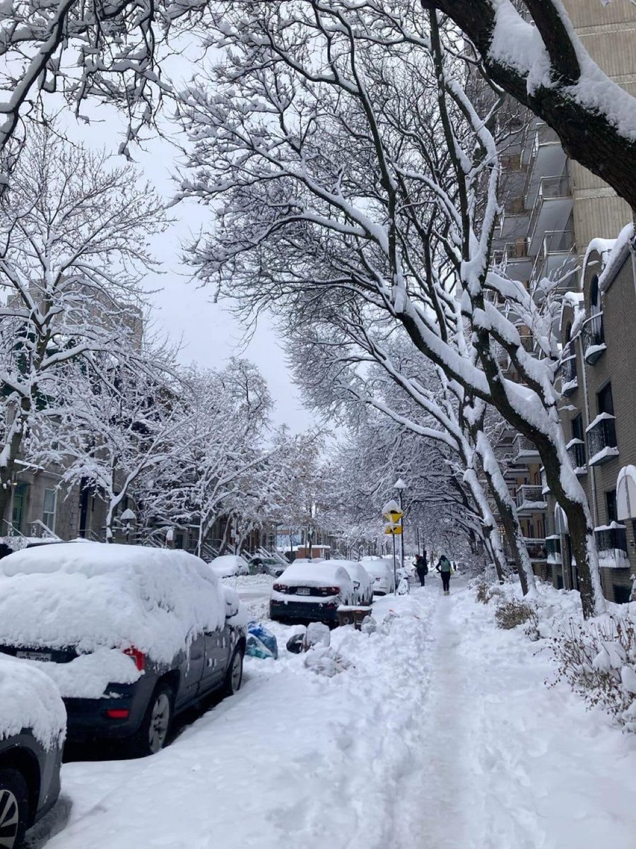 Amazing_Viewss tweet media