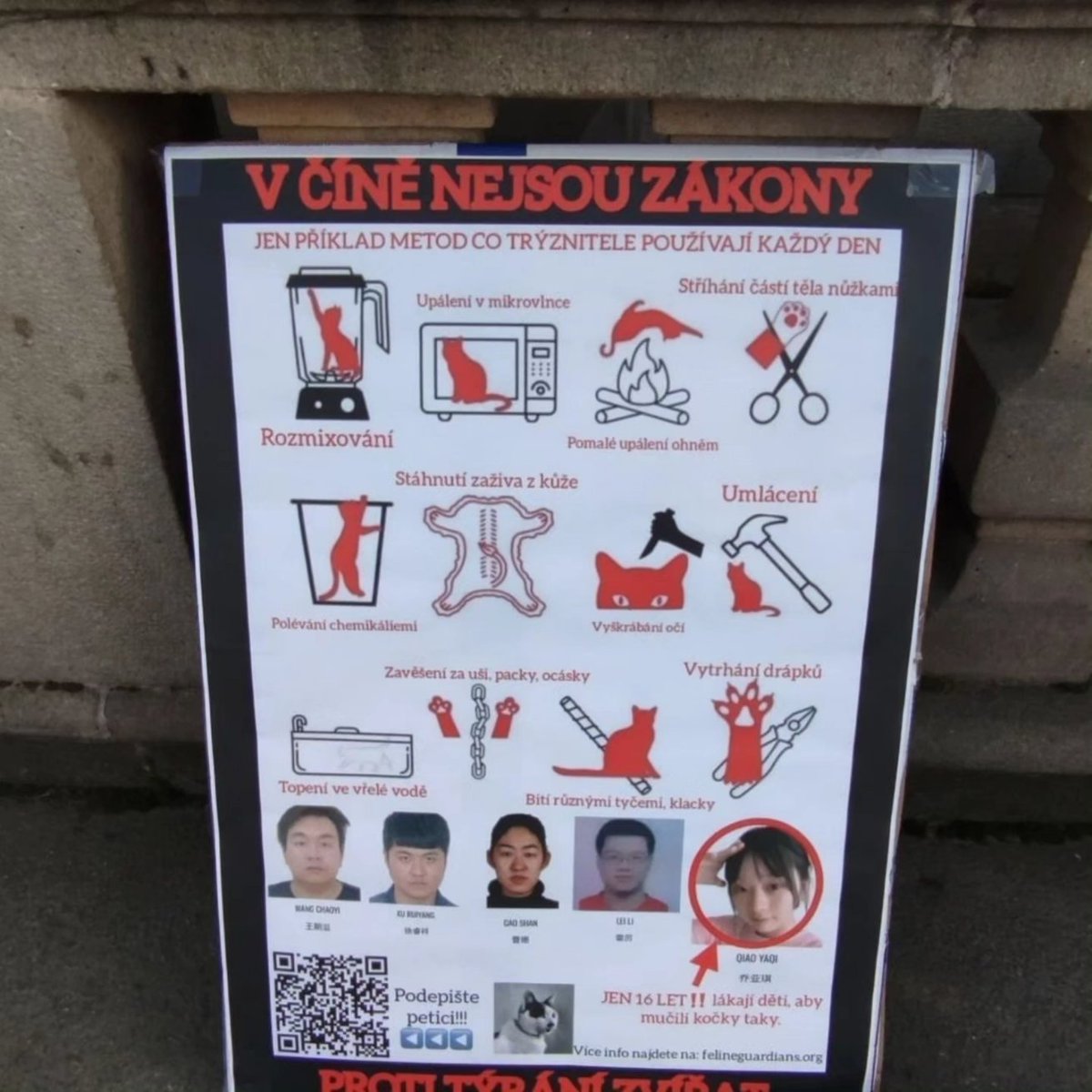 felineguardians's tweet photo. Protest in #Czechia on November 17th!
Feline Guardians volunteers held their first protest in the Czech Republic! The ongoing incidents of cat torture continue to break hearts, and the world is still waiting for justice and answers
#StopChinaCatTorture
#FelineGuardians #Ostrava https://t.co/Q9re9eWJXP
