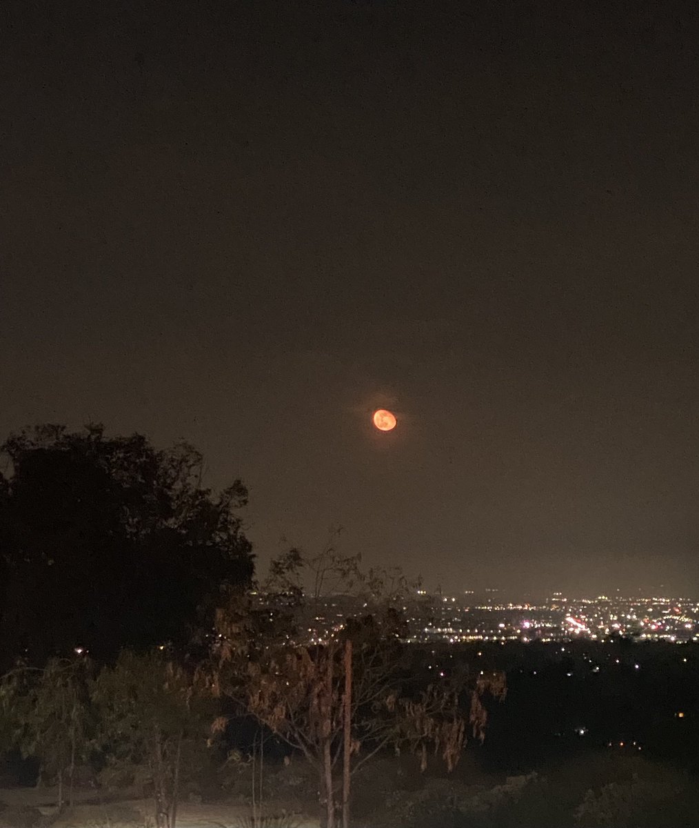 Anyone else in Southern California see this scary moon tonight? <a href="/theleokingdom/">The Leo King</a> <a href="/MissNatalieSady/">Natalie Sady</a> #bloodmoon #orangemoon #scarymoon #themoon #notanormalmoon #leftoverfullmoon