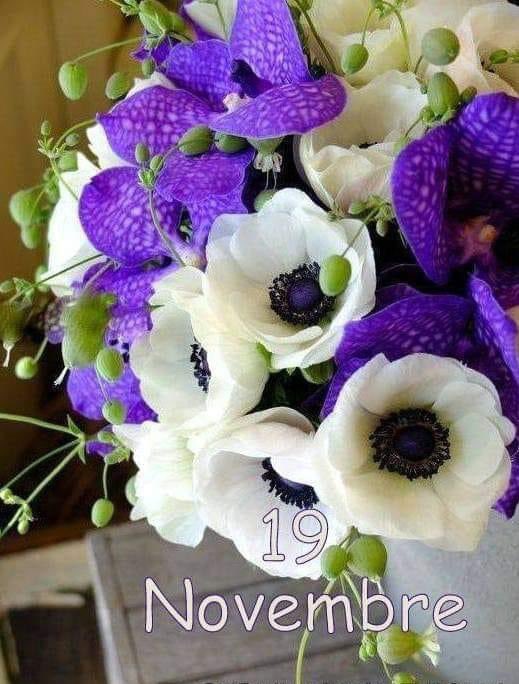 RITABIANCHi56 tweet media