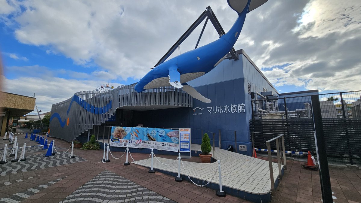 この水族館があることをなぜ知らなかったのだろう。小さいながらもとても良い水族館でした！
土地の契約の都合でまもなく閉館してしまうとのこと。来られて良かった！#マリホ水族館