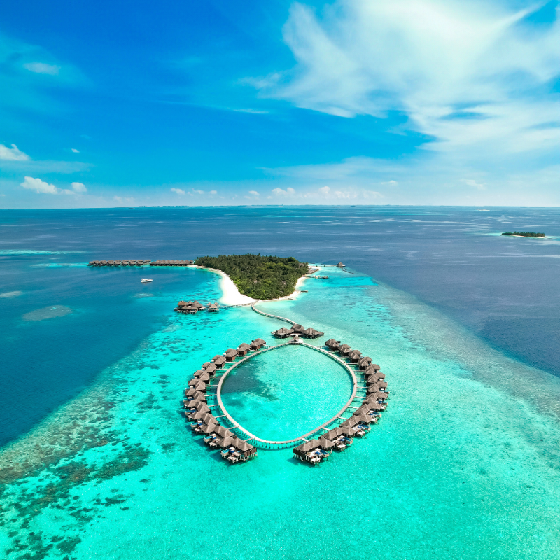 traveltrademv's tweet photo. Coco Collection has been honoured at the 2024 Seven Stars Luxury Hospitality and Lifestyle Awards, with Coco Bodu Hithi and Coco Palm Dhuni Kolhu recognised for their luxury excellence.
@CocoCollection
#TravelTradeMaldives #Maldives #CocoCollection
https://t.co/5OsbYatmc6