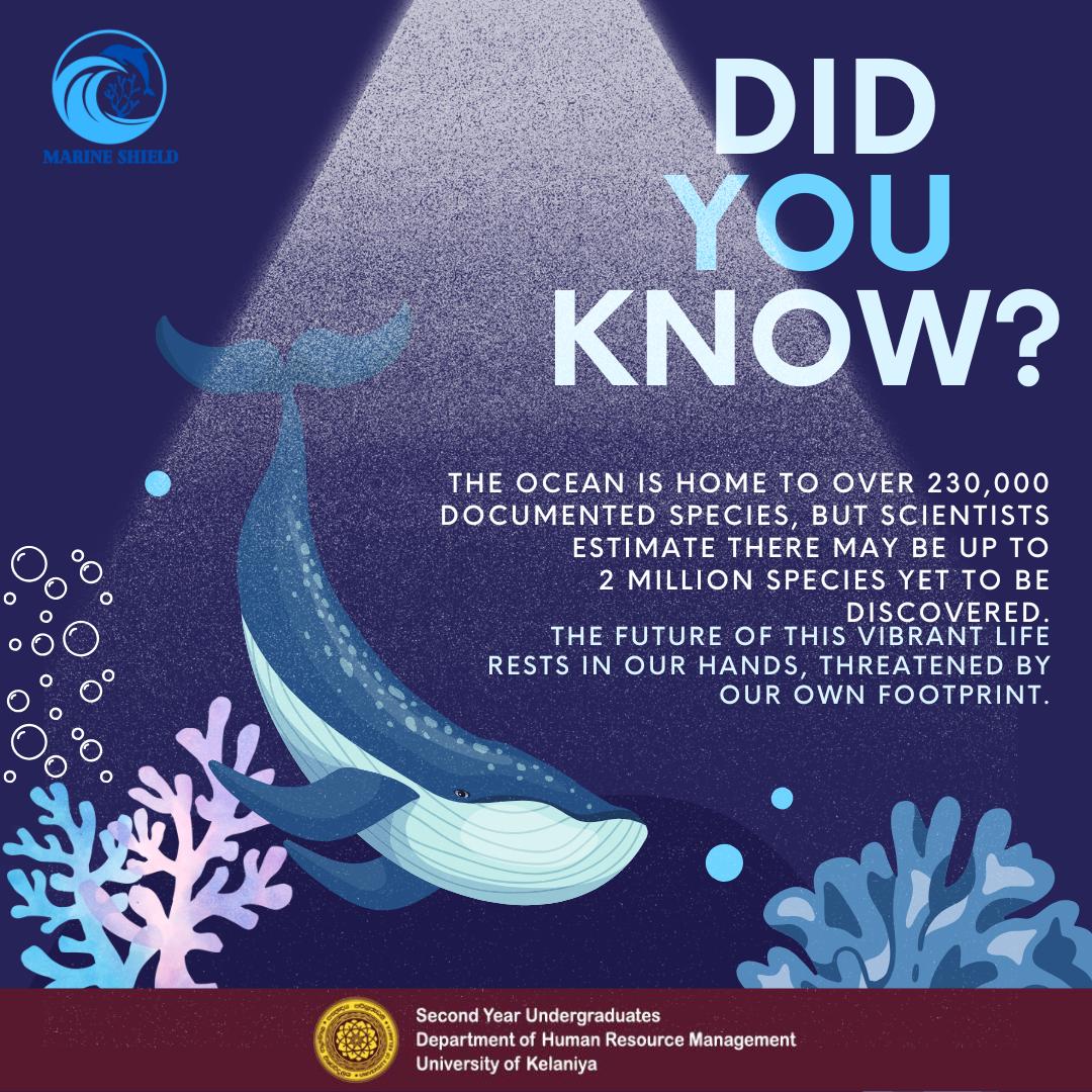 Marine_Shield's tweet photo. Hidden Wonders: Endangered Lives
The ocean isn’t just water-it’s life. Countless lives beneath the waves are counting on us. 
Let’s make choices that protect the vibrant lives before our footprint leaves it beyond repair.
#MarineShield #PreserveBiodiversity #LifeBelowWater #SDG14 https://t.co/79qM6t9wXo