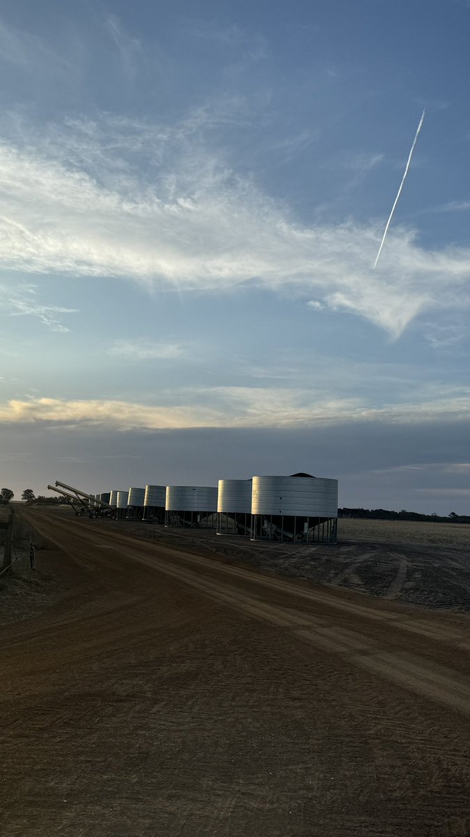 #harvest24 happenings. Finished canola yesty arvo. Dinner run as crew finished cleaning down before moving to wheat. 
Bean &amp; Jedda riding shotgun 
1st stopped paddock dinner
Silo lineup at sunset