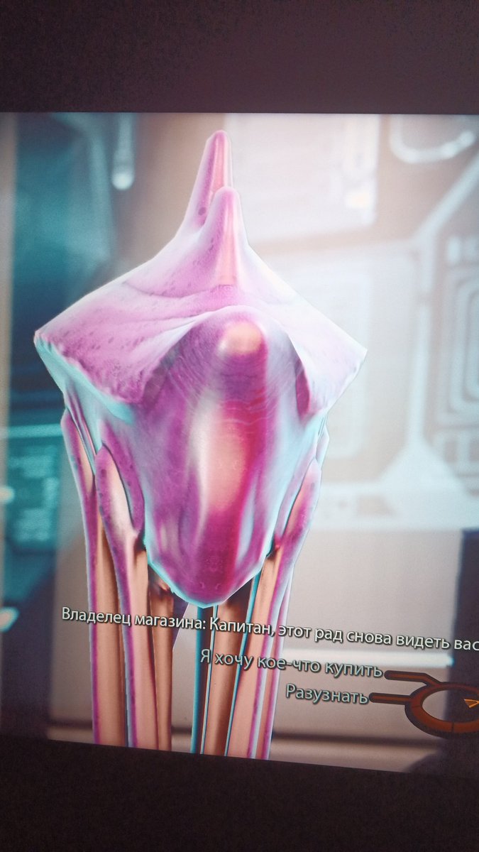 Эстетика она не знает как делать скрины
На самом деле знает, но лень перекидывать на телефон