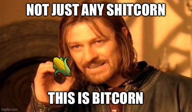 Kernel_Bitcorn's tweet image. We have 2.4k holders....
WHERE YOU AT???
Send the KERNEL or get those tokens in circulation