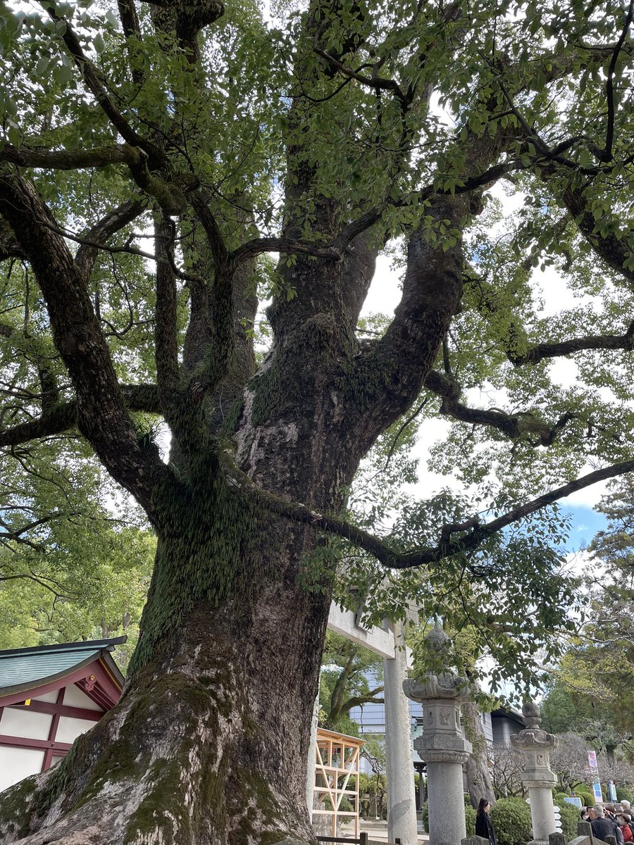 太宰府天満宮の天開稲荷社の商売繁盛のお守りです。友達リスコさんは