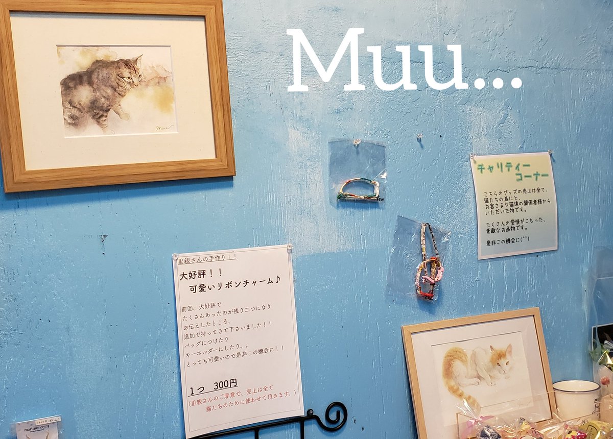 muuart_0625's tweet photo. いつも作品のモデルになってくれて
ありがとんぬ!
#保護猫
#Dearcat
#奈良
#生駒
#猫カフェ https://t.co/ooUq915SQc