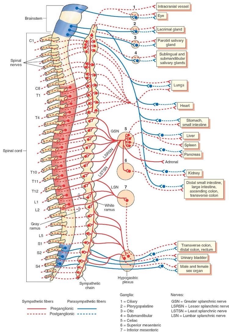 OGdukeneurosurg's tweet photo. Autonomic https://t.co/LLtbRPdVAn