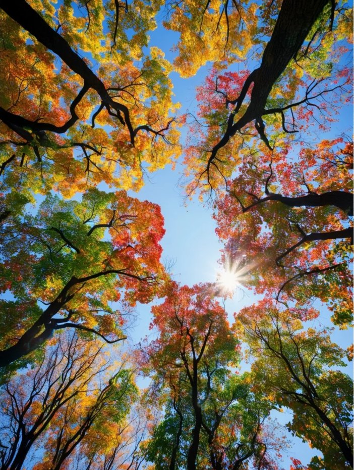 RUNINSX's tweet photo. Those autumn photos that can never be captured again.
Autumn's healing beauty through the lens.
#HowBeautifulAutumnIsThroughTheLens #AutumnInTheFrame #EveryTreeIsAWorkOfArt #100ShadesOfAutumn #HealingLandscapes #UnmissableScenery #AutumnColorsInTheLens https://t.co/e6ImDgiTx4