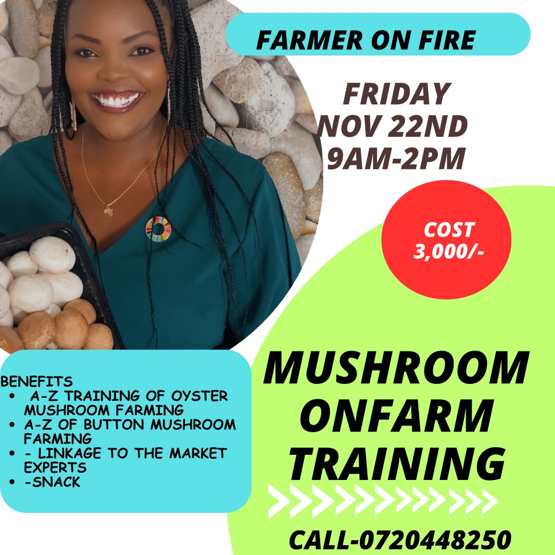 Adding Gysum to our button mushroom compost 
-It helps reduce ammonia from the chicken manure 
-Balance the moisture content
-To prevent clumping
-maintain pH 
-deliver nutrients essential for mycelium growth