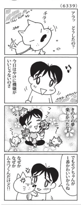 最近の「ウチの場合は」

精神的浮気。

@mainichi 
#毎日新聞夕刊 
