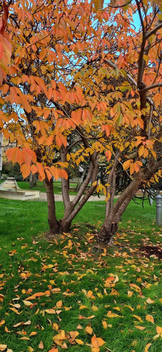 واقعا وضعیت یکی دوساله من و آزاده اینه:
در سفر زندگی باید کرد

عکس نوشت: خودم از عکسی که گرفتم راضی بودم وگرنه ربطی نداشت