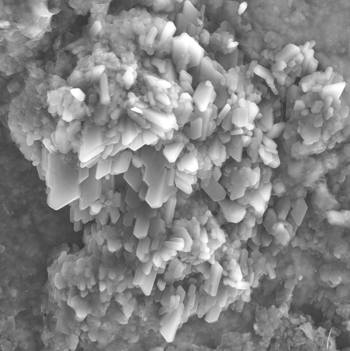kristina_dunkel's tweet image. I usually prefer working with thinsections, but sometimes 3D samples are fun as well! 
Here some gypsum growing in black shale from Oslo.
Field of view ca 10 µm.
#electronmicroscopy