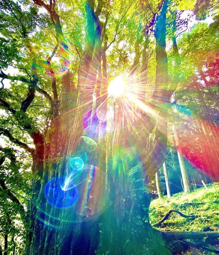 JohnMar77301444's tweet photo. Let There Be LightMorning Meditation🌞☀️🌄🌇
Bright Lights
~from Alien Dreamtime ~by John Martini Music
https://t.co/jrV7MGcpf7
#Bandcamp #Synth #SynthMusic #SynthKeyboards #Sunlight #Sunshine #TuesdayMorning #LetThereBeLight https://t.co/q8BeDvnSHL