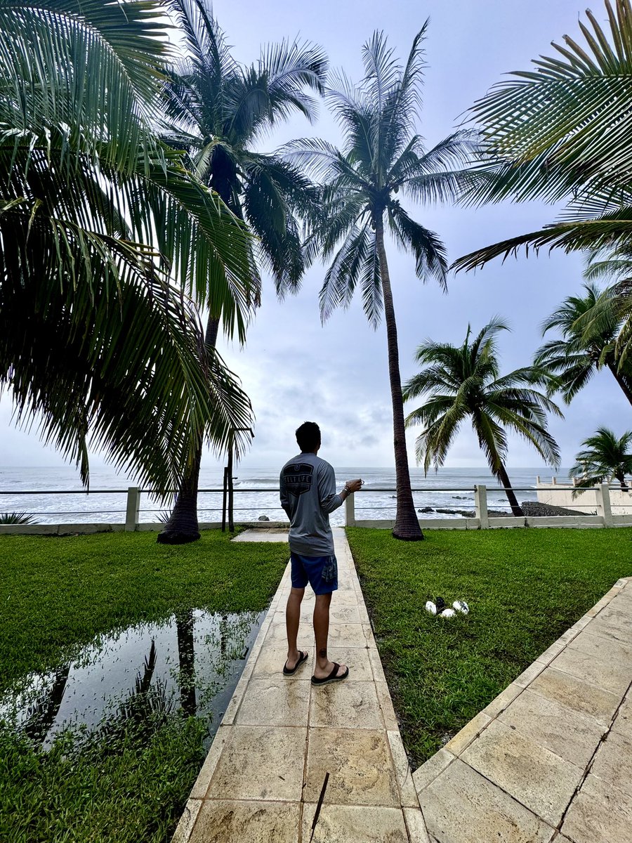 GM IF YOU GM! 😼🌴