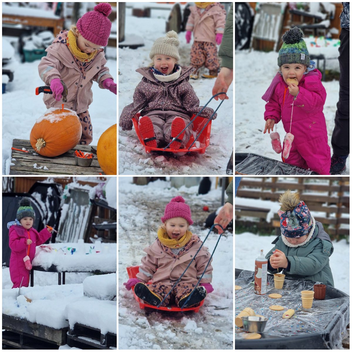 Wild Bears Forest School CIC tweet media