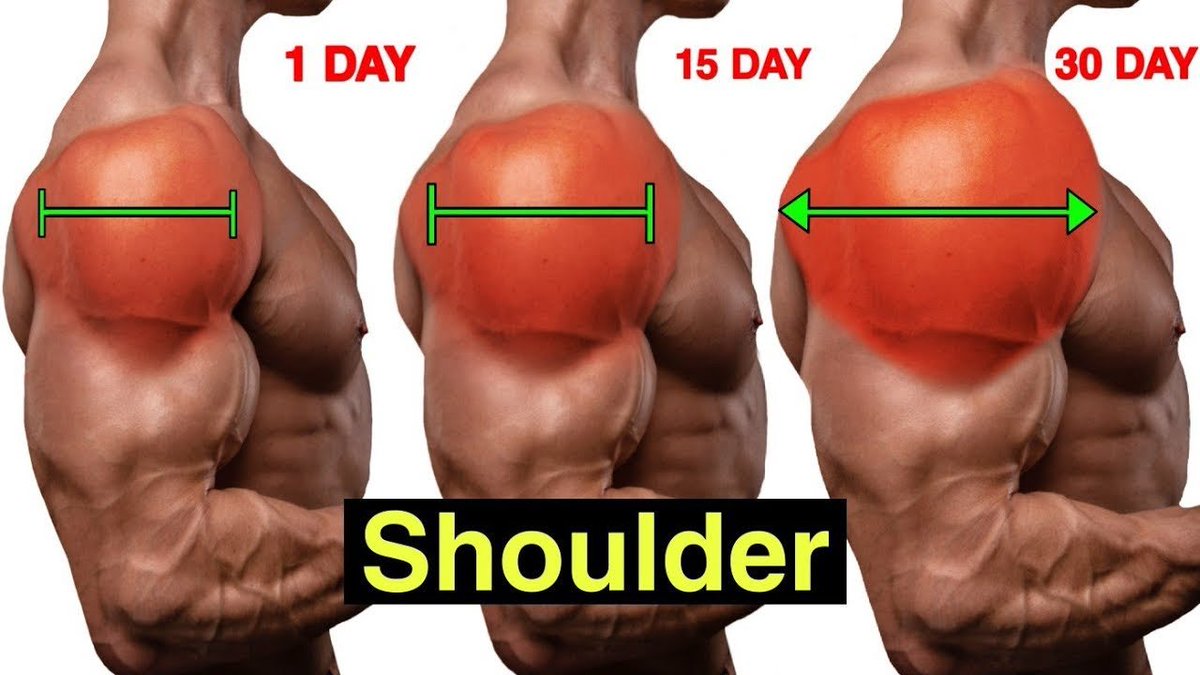 The_Truepath's tweet photo. 5 Shoulder Building Workouts:

-Thread- https://t.co/8trAzE76Pi