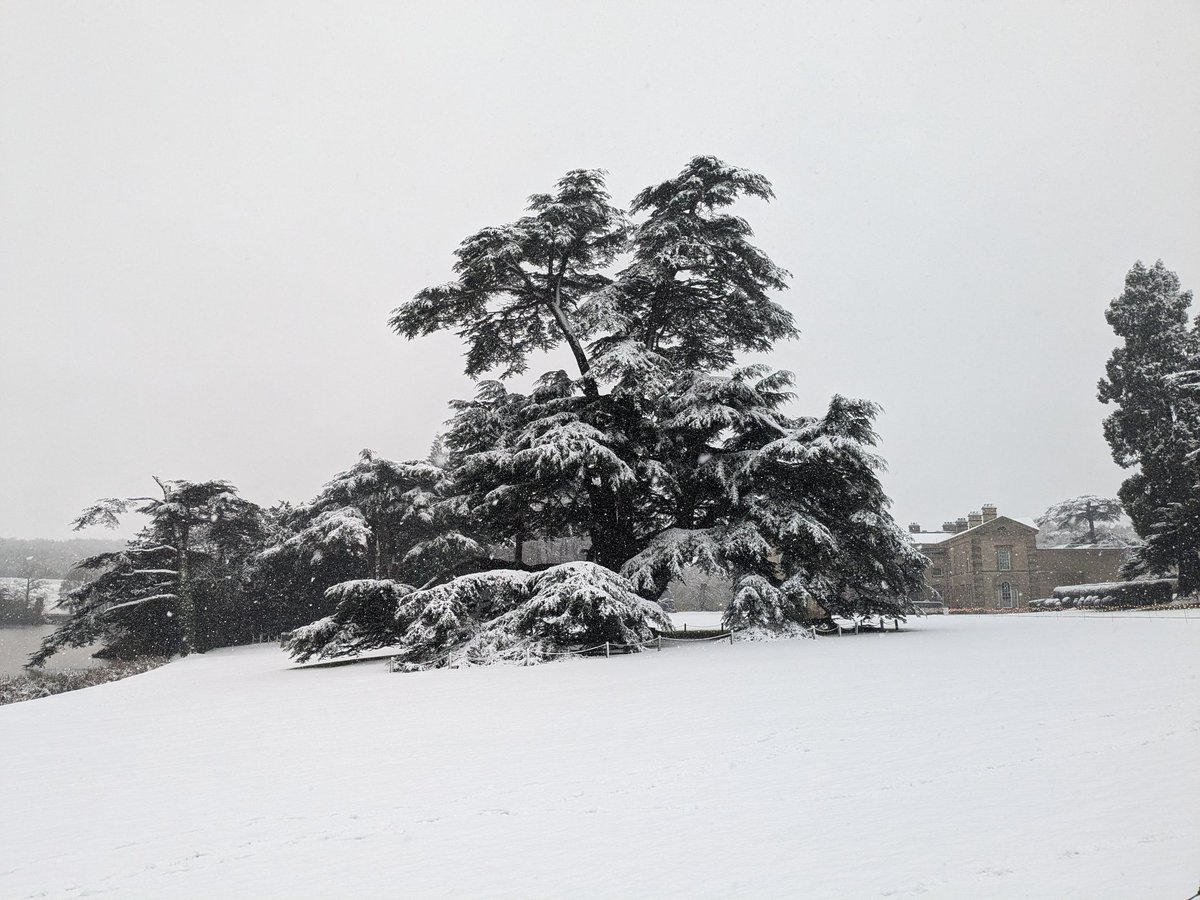 Cate West tweet media