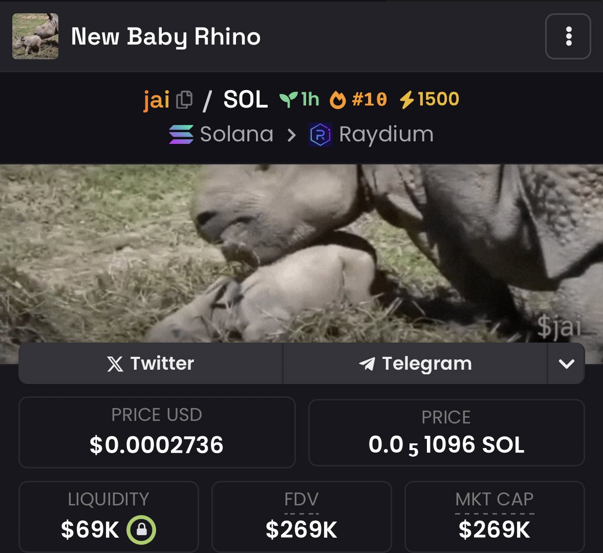 Fomoed here new baby rhino $jai
Give me a few millions