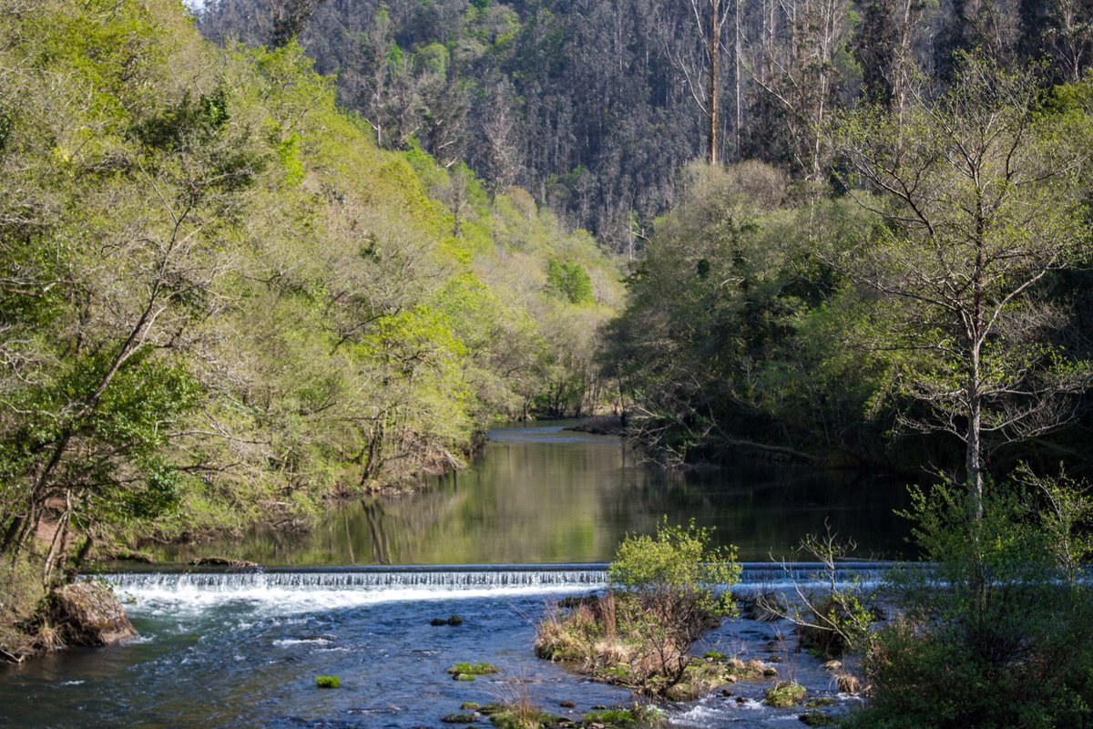 Xunta's tweet image. 🗣️ En 2025 executaranse labores de conservación e limpeza en arredor de 550 km de ríos galegos

🌧️ O obxectivo é incrementar a resistencia dos ríos ante posibles inundacións e reforzar a calidade ambiental das súas augas e contornas

ℹ️ xunta.gal/notas-de-prens…