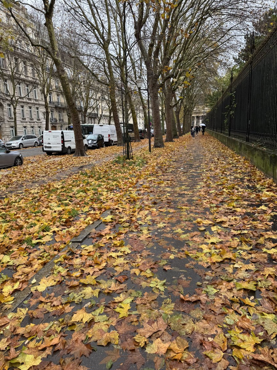 Starchips22 tweet media