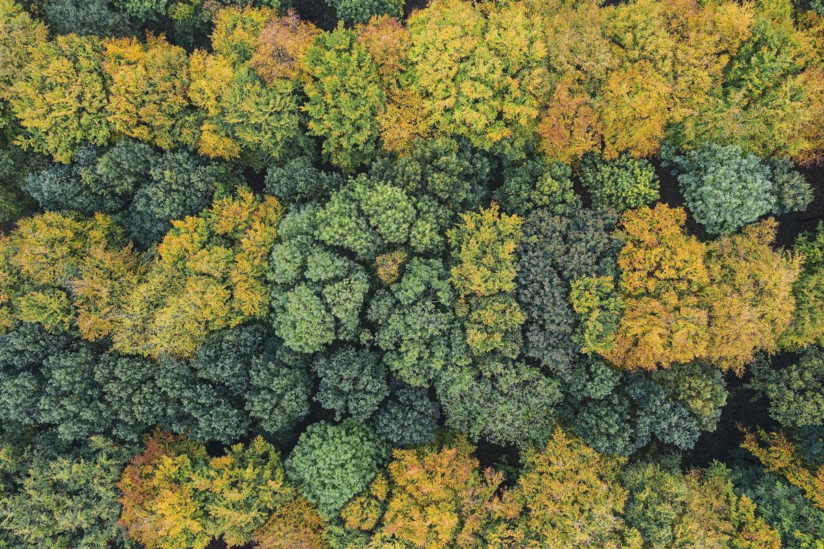 Climate collective <a href="/RightsClimate/">Rights : Community : Action</a> has won permission to appeal against a judgment that ruled in favour of a government policy restricting the green ambitions of local planning authorities.

Ricardo Gama represents. 

leighdaylaw.info/3OhOcaQ