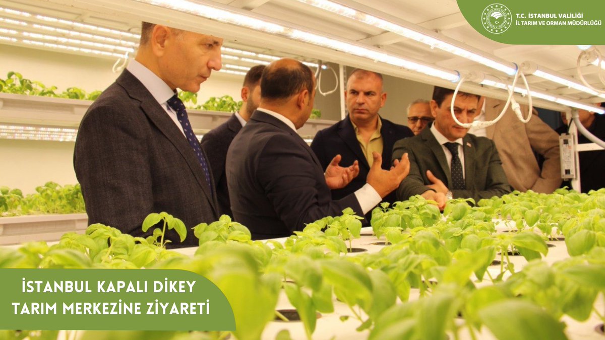 isttarimorman's tweet photo. İl Müdürümüz Suat Parıldar, İstanbul Kapalı Dikey Tarım Uygulama Merkezi’nde; Kağıthane Kaymakamı Niyazi Erten, Fıçıcılar Yapı A.Ş. YKB Yaşar Fıçıcı ve Novtek Jeotermal Rüzgar Enerji A.Ş. YKB Tuğrul Kaya’yı ağırladı. Ziyarete, Kağıthane İlçe Tarım ve Orman Müdürü Gökhan Dik de katıldı. Misafirlere merkezin özellikleri ve kuruluş süreci anlatıldı. 

https://t.co/ZkDQ30RxWe

@TCTarim @ibrahimyumakli @TC_istanbul @avademyildirim @istdikeytarim @sparildar69