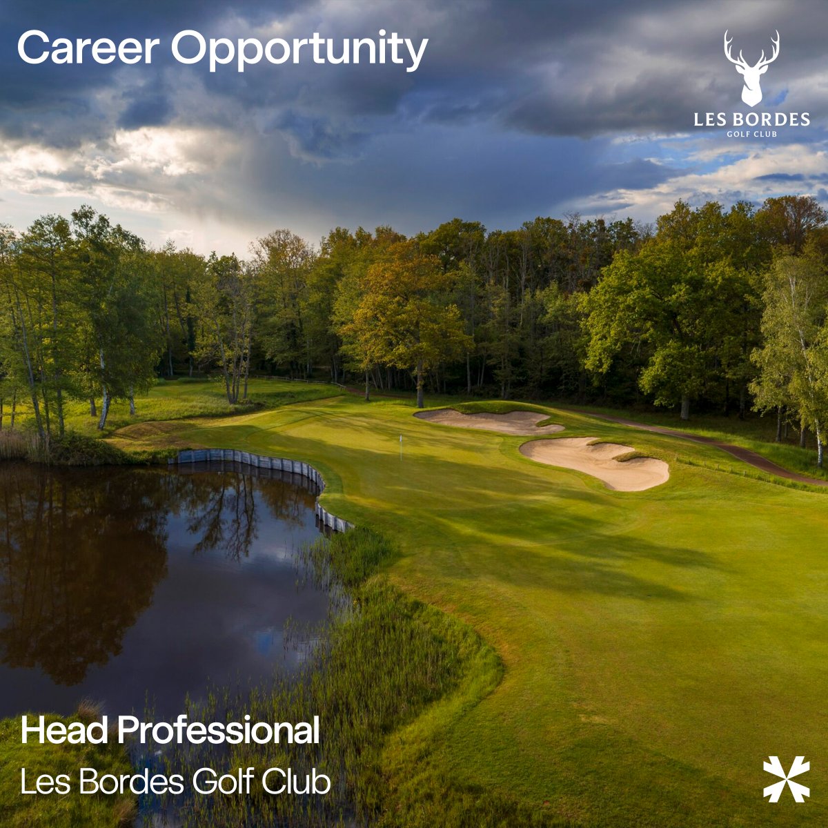 We are continuing to support our client, Les Bordes, in their search for a Head Professional. 

If you would like to explore this role further, please see the link below.

coltmm.com/opportunities/…
