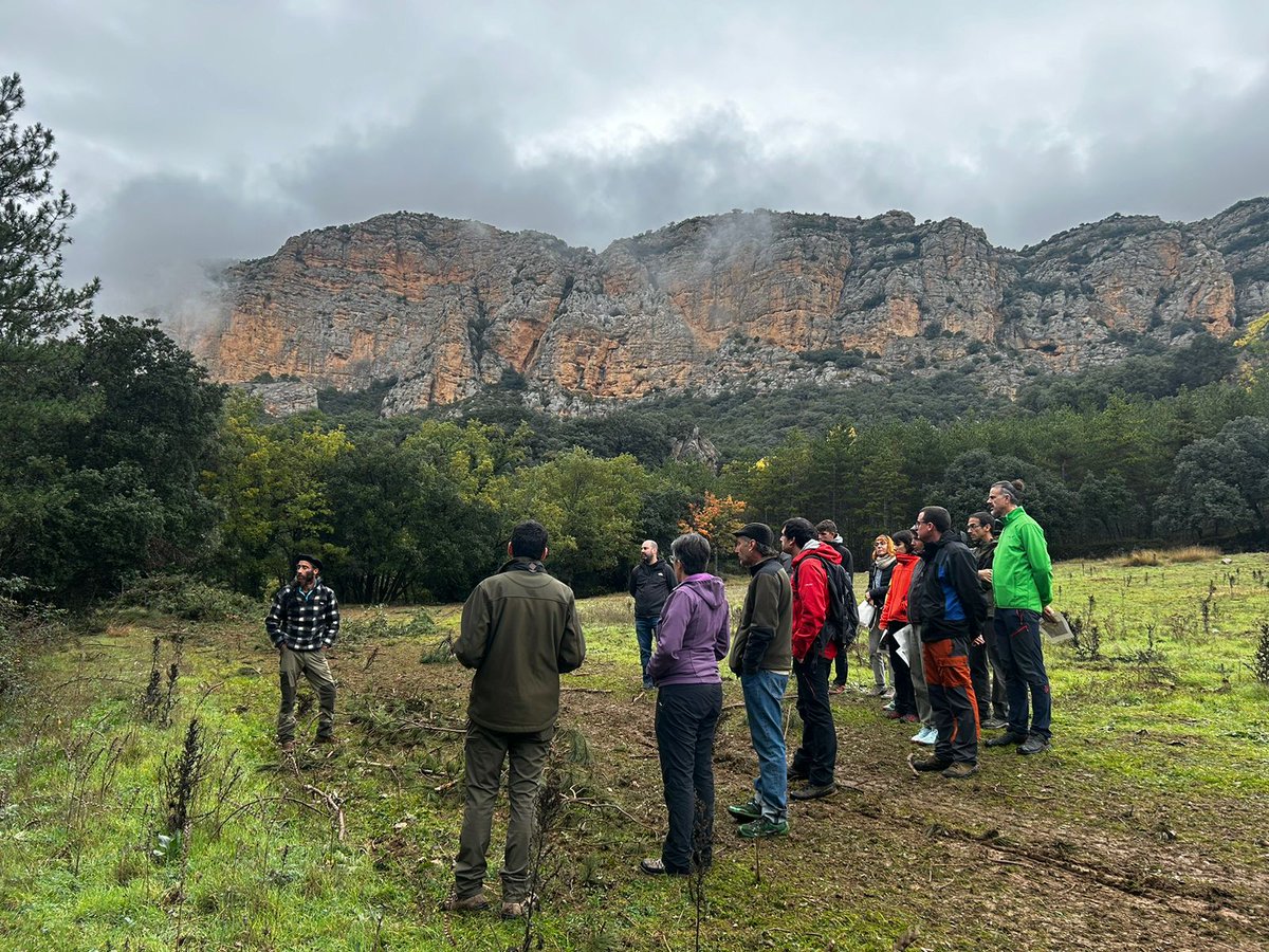 ctforestal's tweet photo. 🌲🥾 Los participantes #REFORADAPT visitaron Forestal Catalana y la RNC de Boumort, donde intercambiaron experiencias sobre restauración forestal en un contexto práctico, entablando diálogos para fortalecer estrategias frente al cambio climático 💪🌍 @GFBI_Hub_Lleida https://t.co/FMkqrxkBLq