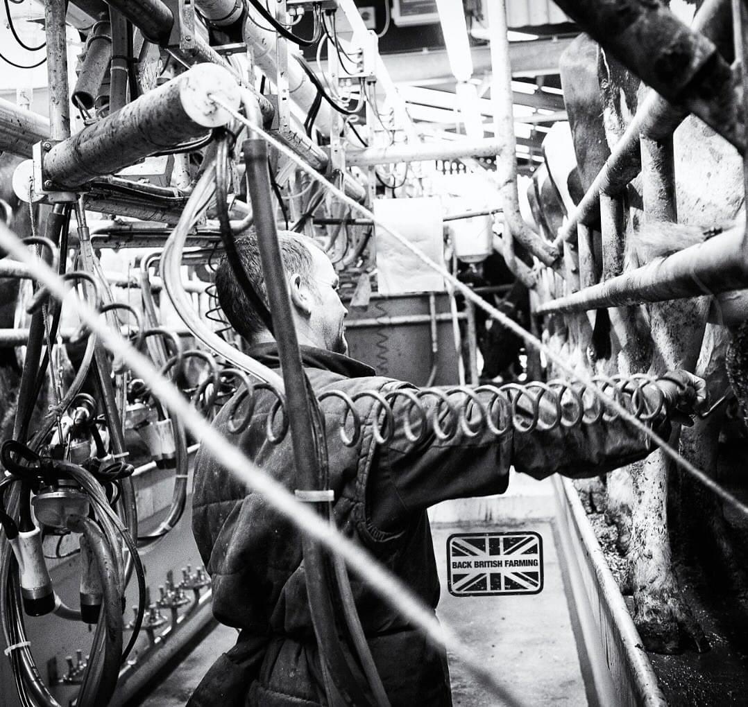 ShropFarmVets's tweet image. To our fantastic farmers - protesting or on farm, working hard to feed us - you have our full support. 

Caring for livestock, landscape, safeguarding countryside for the future, while providing high quality affordable food. 

Your voices must be heard! 🇬🇧

#BackBritishFarming