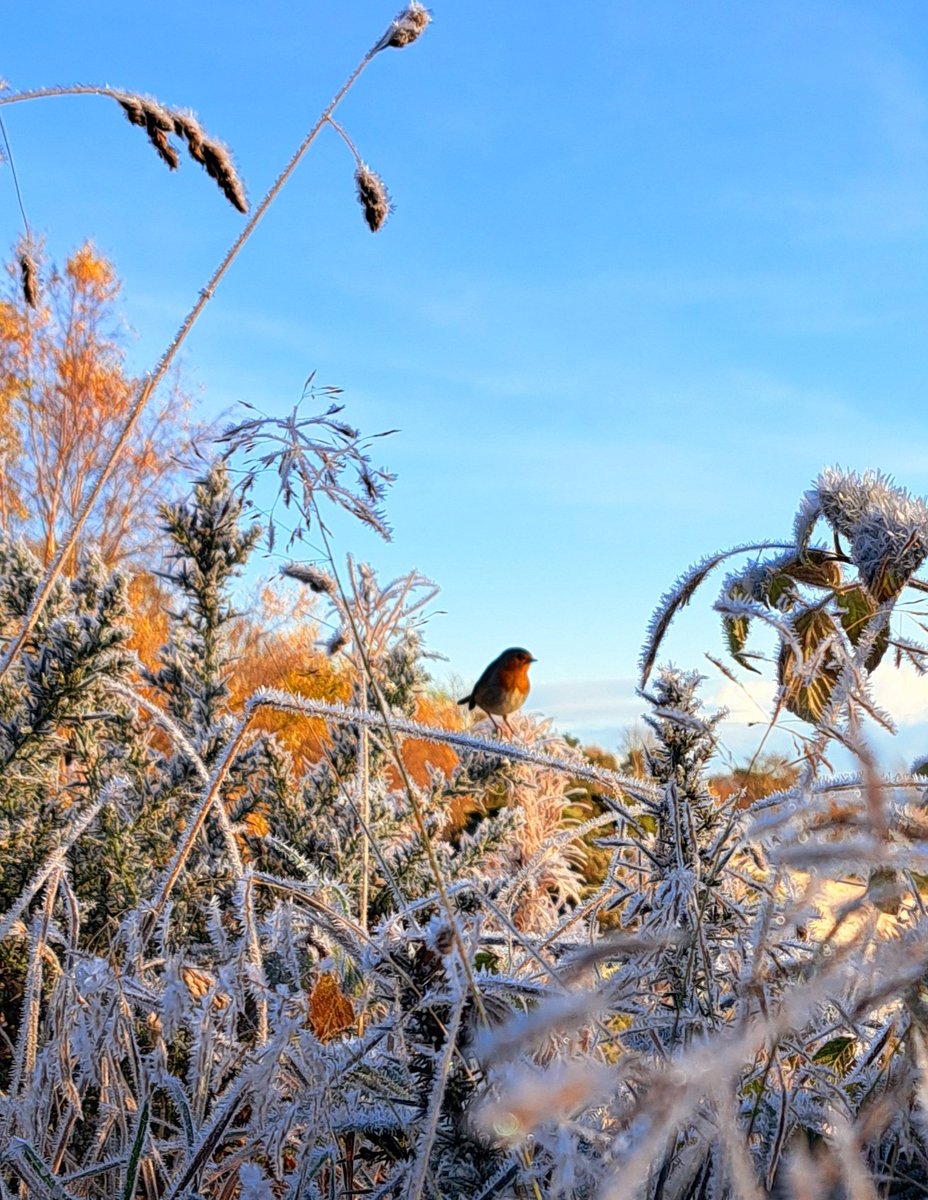 Inverness Outlanders TM tweet media