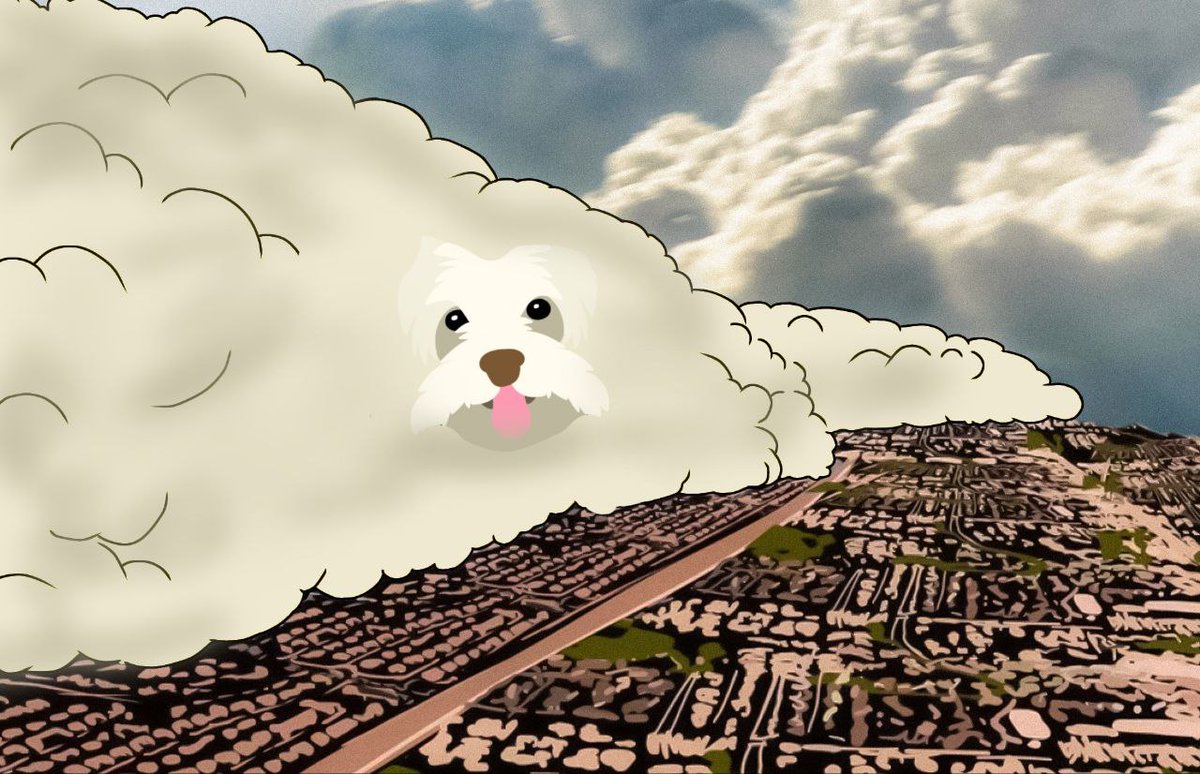 UniSuiCoin's tweet photo. GM, a $Uni storm is coming 🌪️🐶 https://t.co/quARnmlZP8