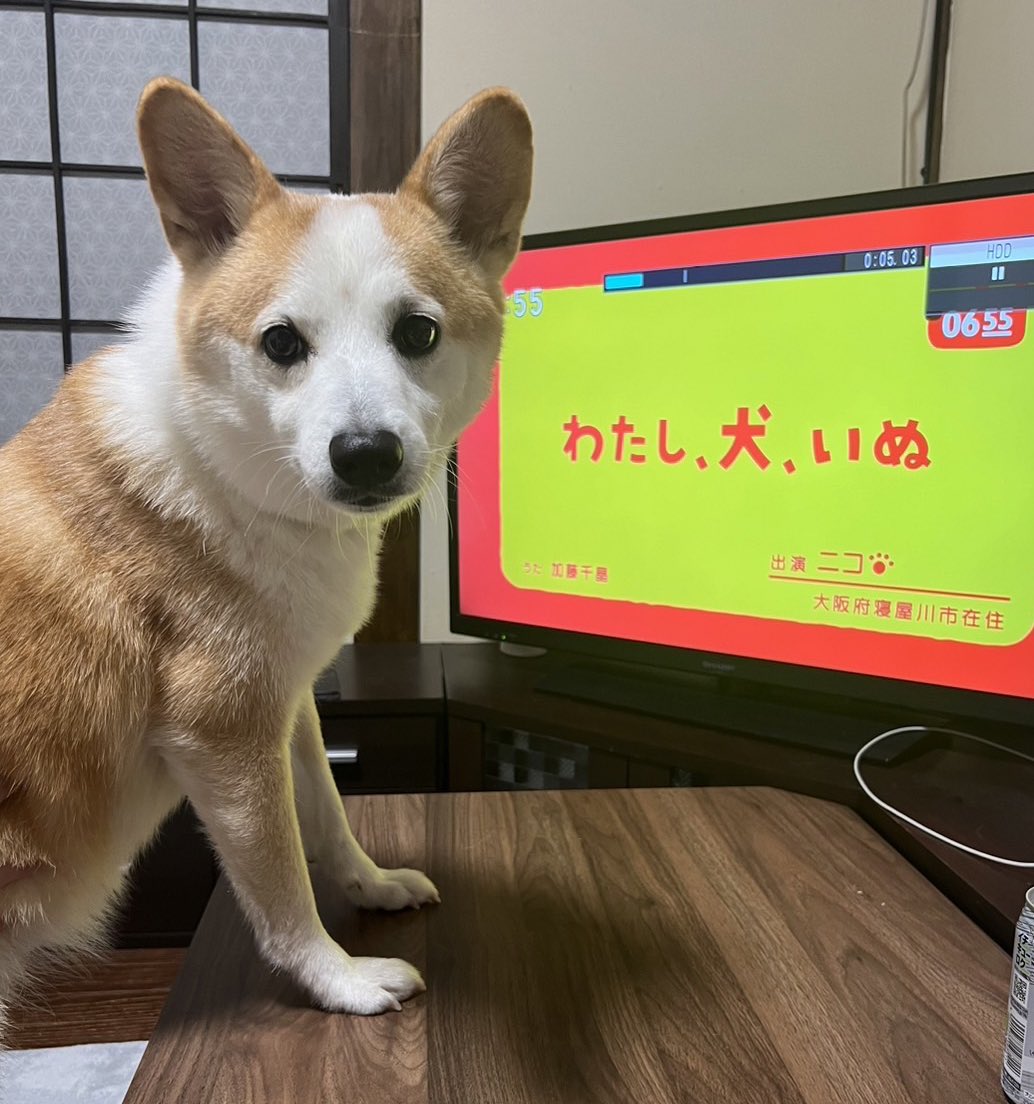 今日、放送されました！ 数ある応募の中から選んでいただき