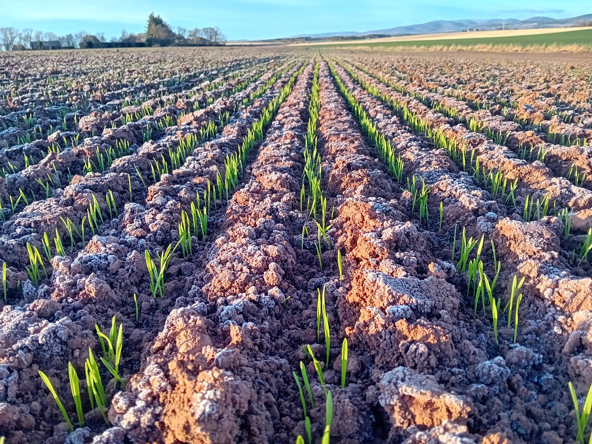 Duncan Wilson (@duncantwilson) on Twitter photo 