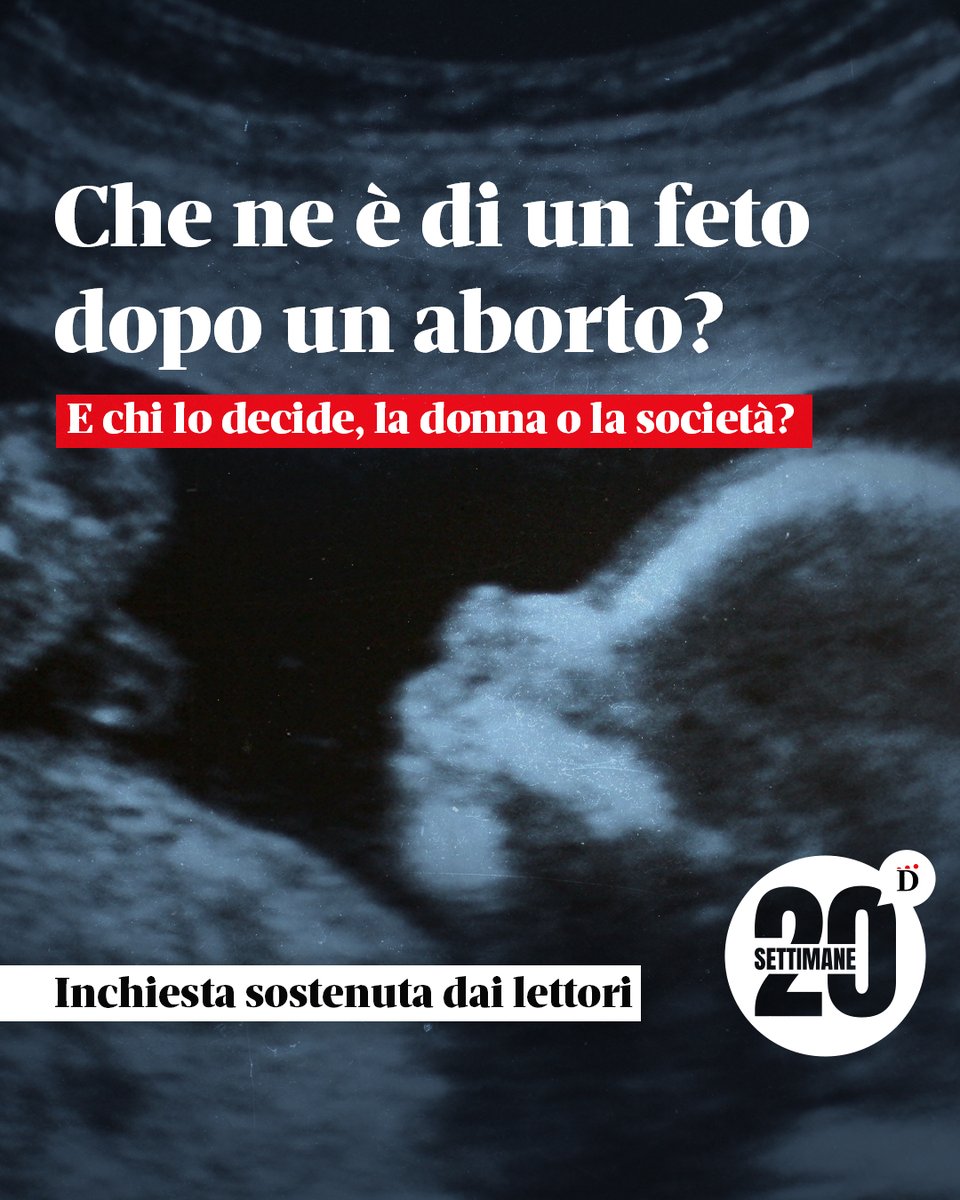 Domani tweet media