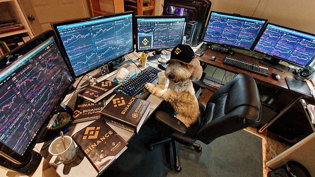 <a href="/SatoshiFlipper/">Satoshi Flipper</a> GM mr Satoshi,

u seen <a href="/binance/">Binance</a>'s new $fur-nancial advisor?