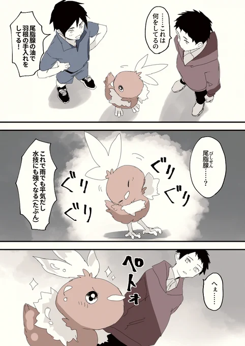 尾脂腺 