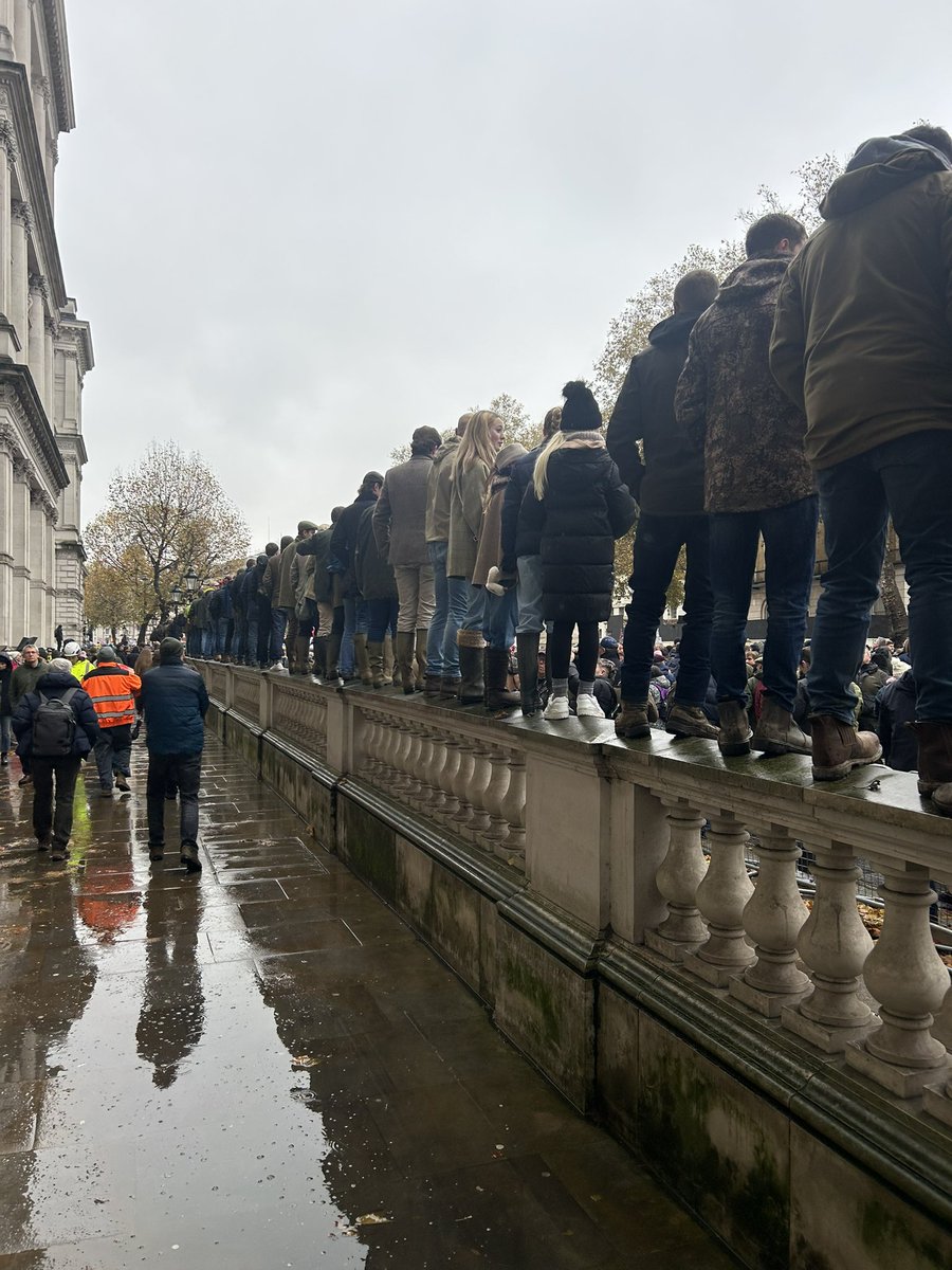 robertlocker4's tweet photo. Some crowds… https://t.co/0a0hG5thwz