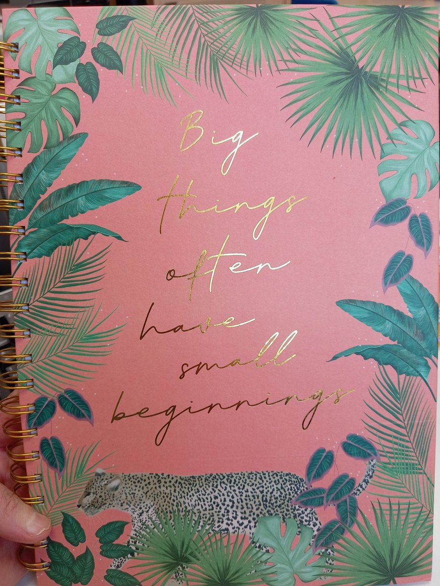 I've got big plans for this dissertation I'm working on..... So this notebook was the perfect fit ❤️