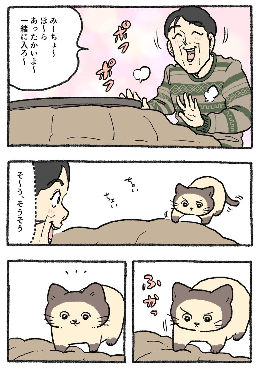 ねこに転生したおじさん。その596