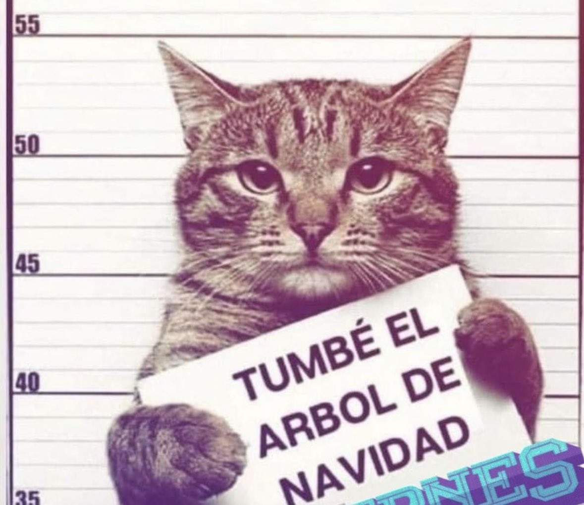 jadinsamit's tweet photo. ¡La temporada está servida! https://t.co/TNfT5P2nzH