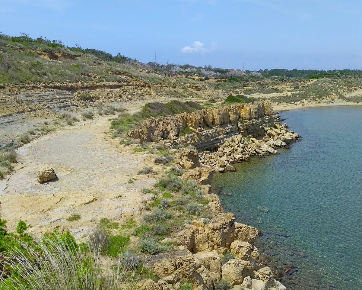 OnSea - ex NEPTUNE project tweet media